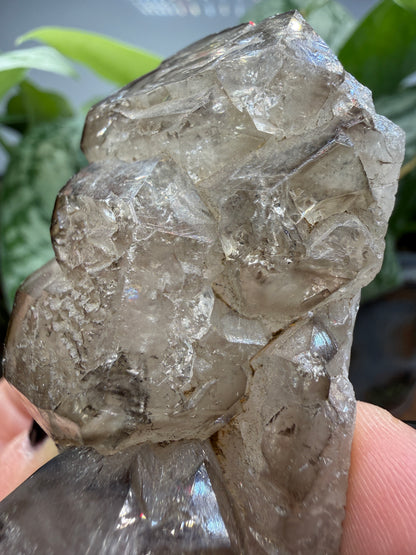 Etched Smoky Quartz, var. 'Crocodile Quartz'- Minas Gerais, Brazil