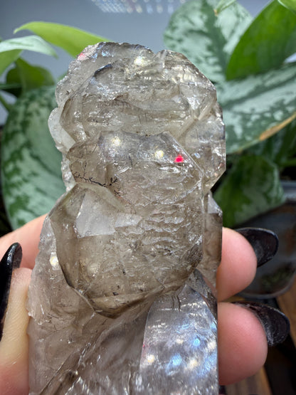 Etched Smoky Quartz, var. 'Crocodile Quartz'- Minas Gerais, Brazil