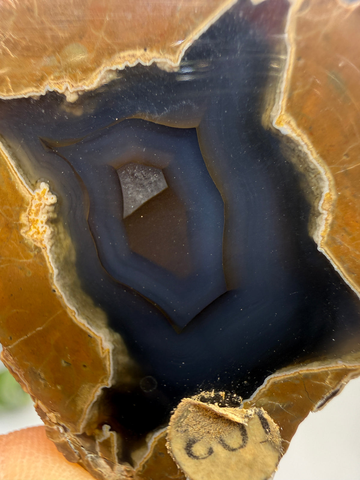 Thunder Egg Agate (Sawed and Polished)- Oregon, USA