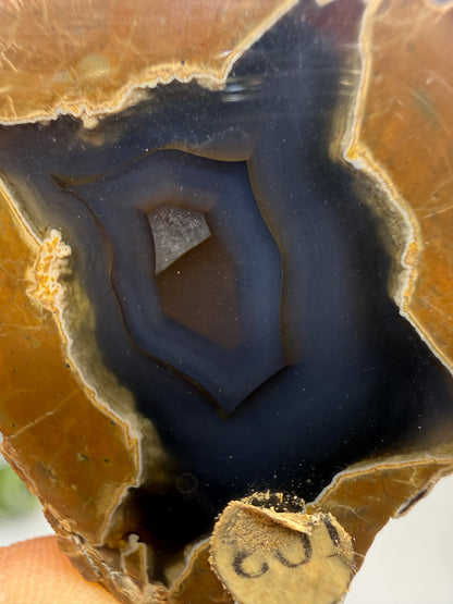 Thunder Egg Agate (Sawed and Polished)- Oregon, USA