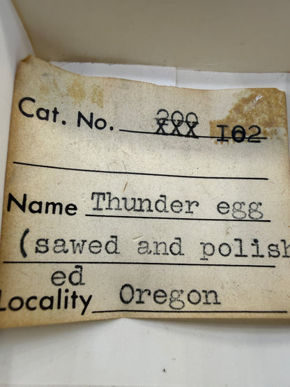 Thunder Egg Agate (Sawed and Polished)- Oregon, USA