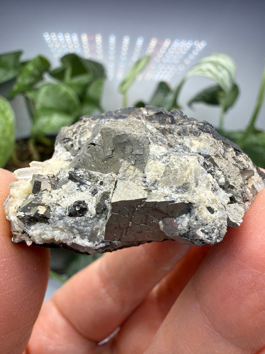 Arsenopyrite on Sphalerite with Quartz- Parral, Chihuahua, Mexico
