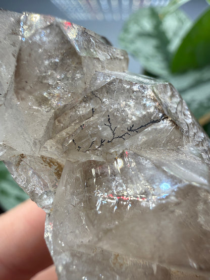 Etched Smoky Quartz, var. 'Crocodile Quartz'- Minas Gerais, Brazil