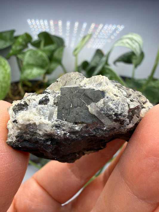 Arsenopyrite on Sphalerite with Quartz- Parral, Chihuahua, Mexico