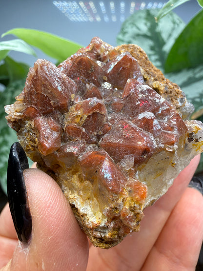 Red Quartz- Tinejdad, Er Rachidia Province, Meknes-Tafilalet Region, Morocco