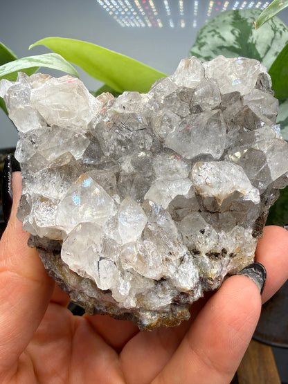 Quartz with Rutile (shaped like Ohio!)- Brazil