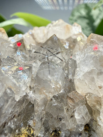 Quartz with Rutile (shaped like Ohio!)- Brazil