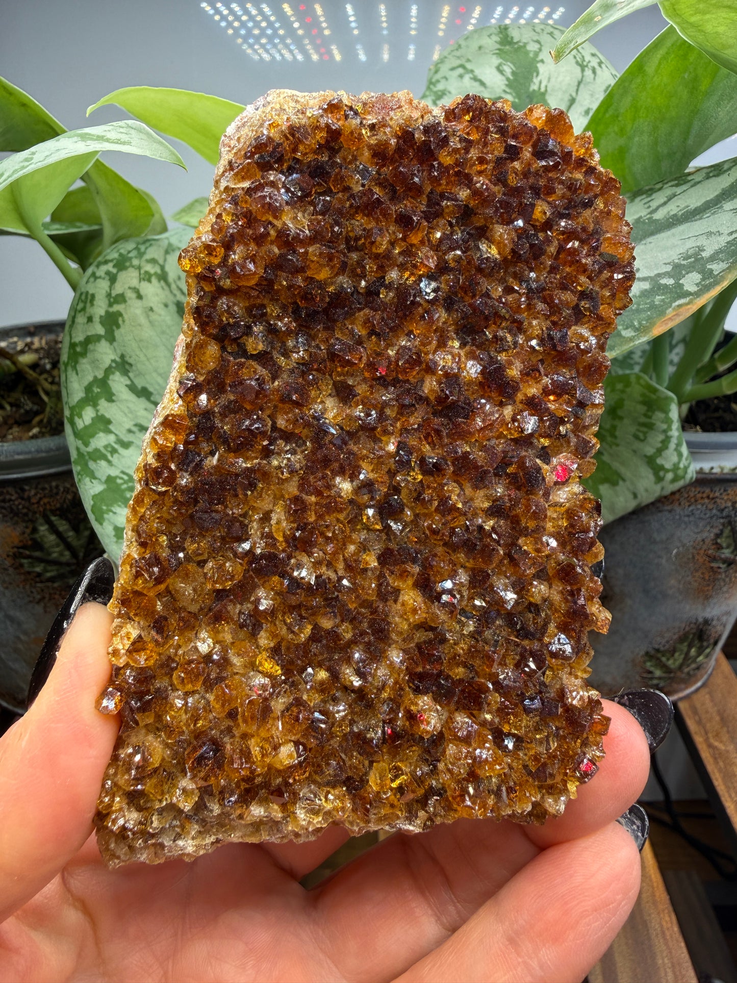 Citrine Plate, heat treated- Brazil
