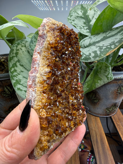 Citrine Plate, heat treated- Brazil
