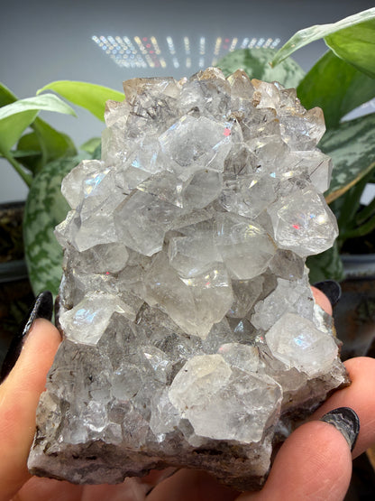 Quartz with Rutile- Brazil