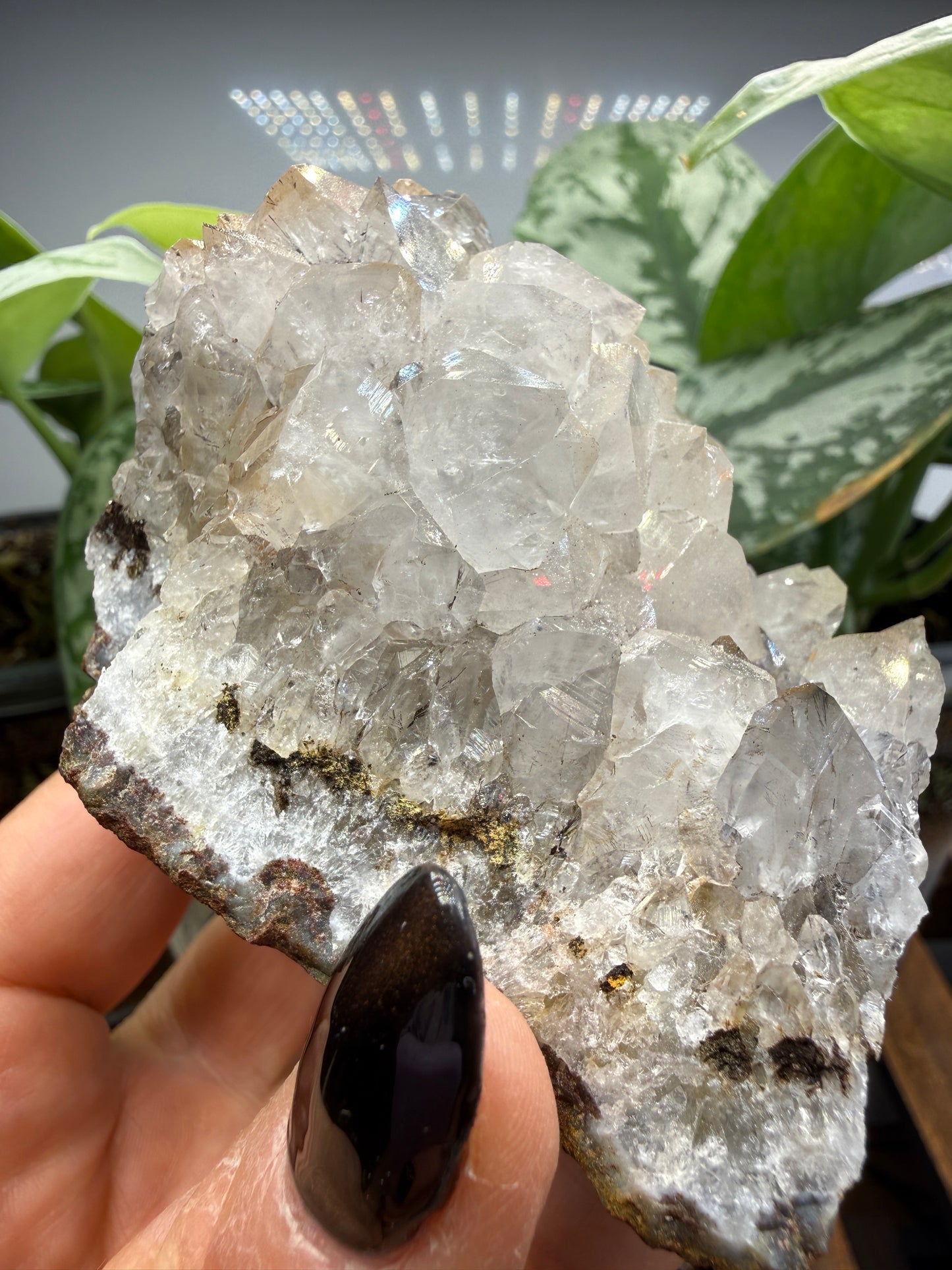 Quartz with Rutile- Brazil