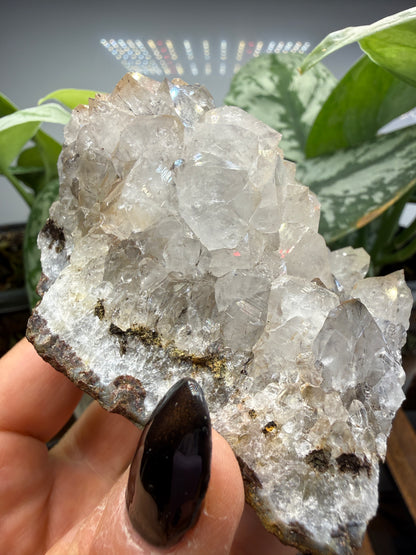 Quartz with Rutile- Brazil
