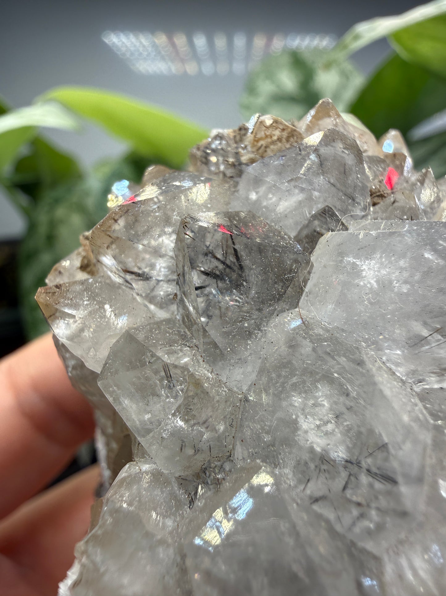 Quartz with Rutile- Brazil