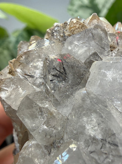 Quartz with Rutile- Brazil