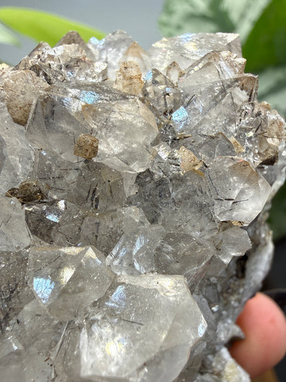 Quartz with Rutile- Brazil