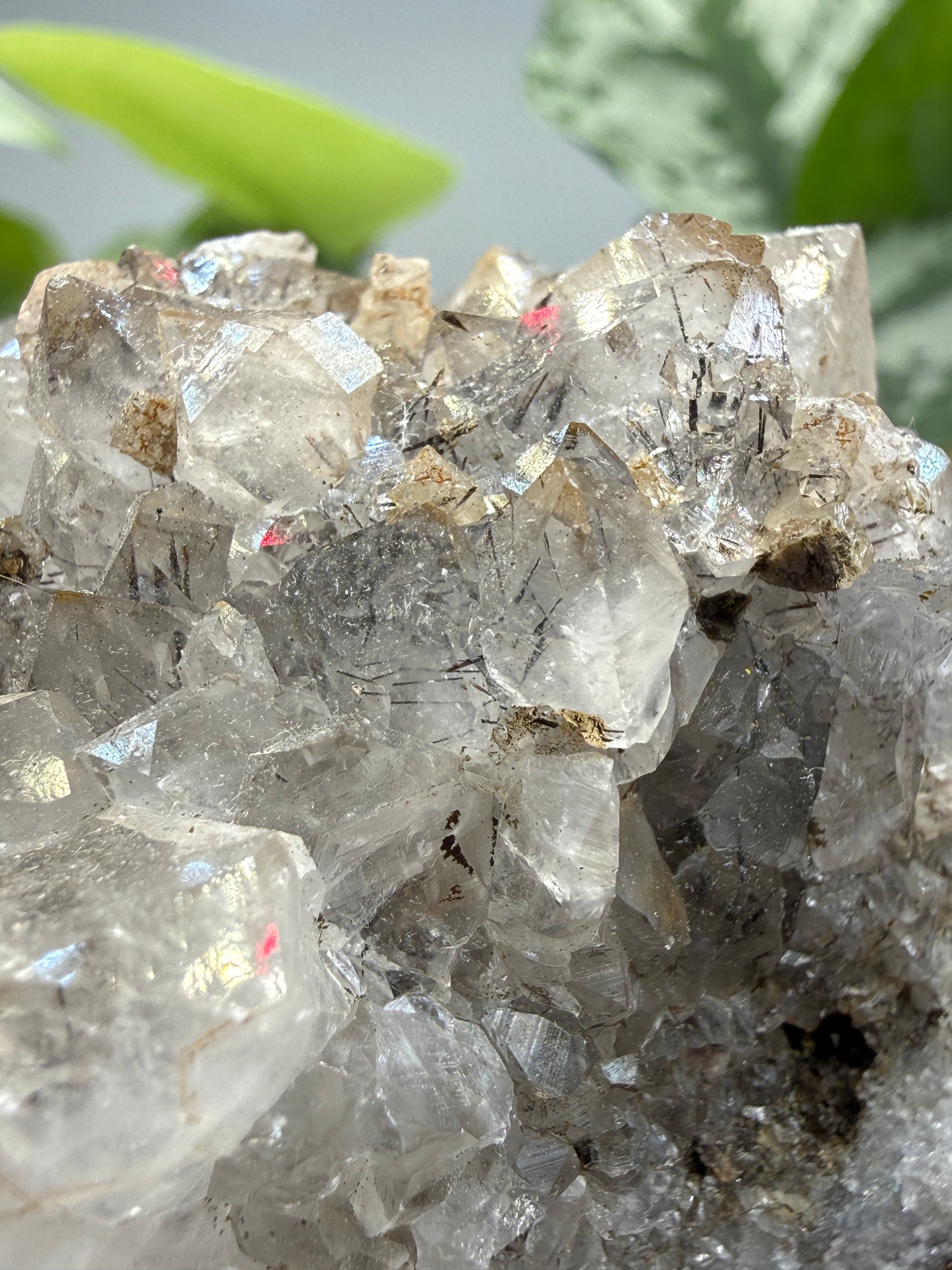 Quartz with Rutile- Brazil