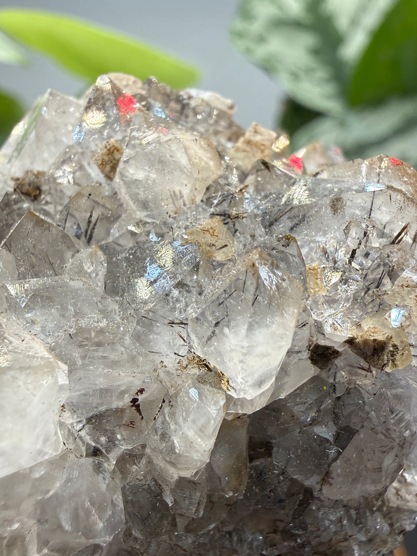 Quartz with Rutile- Brazil