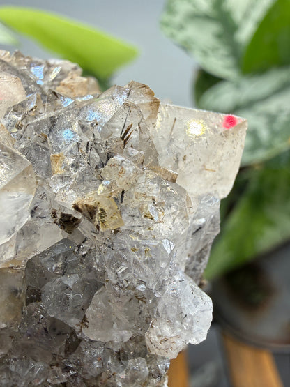 Quartz with Rutile- Brazil
