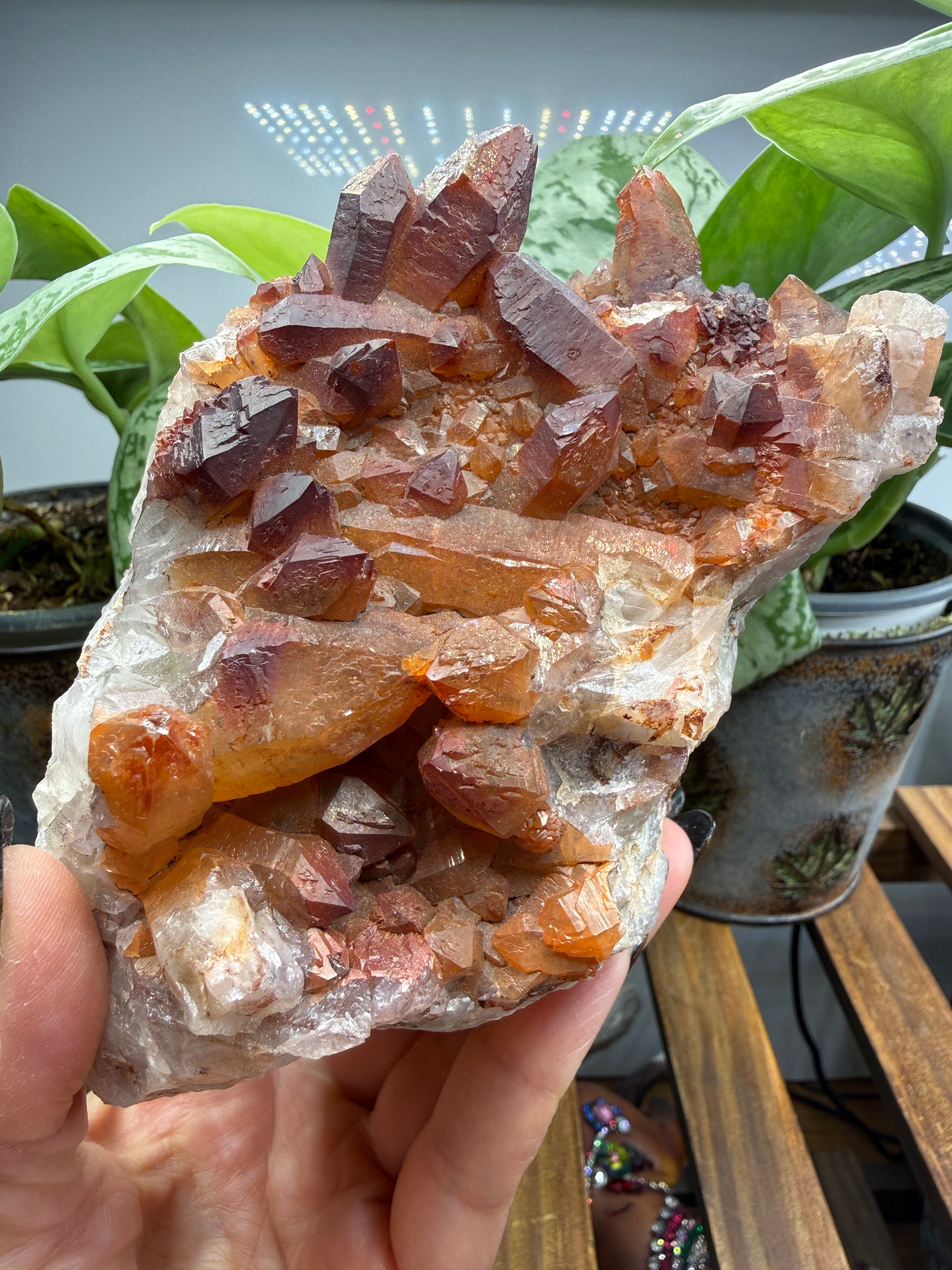 Red Quartz- Tinejdad, Er Rachidia Province, Meknes-Tafilalet Region, Morocco