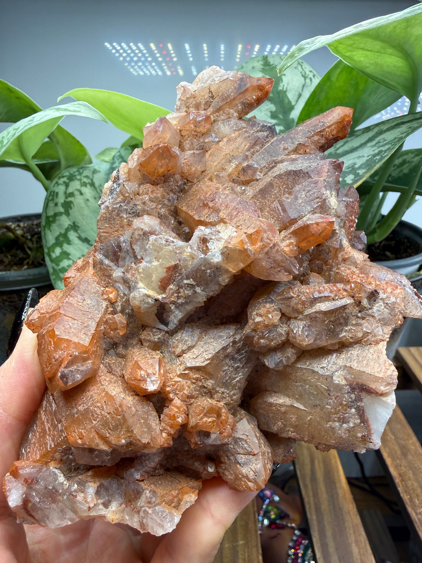 Red Quartz- Tinejdad, Er Rachidia Province, Meknes-Tafilalet Region, Morocco