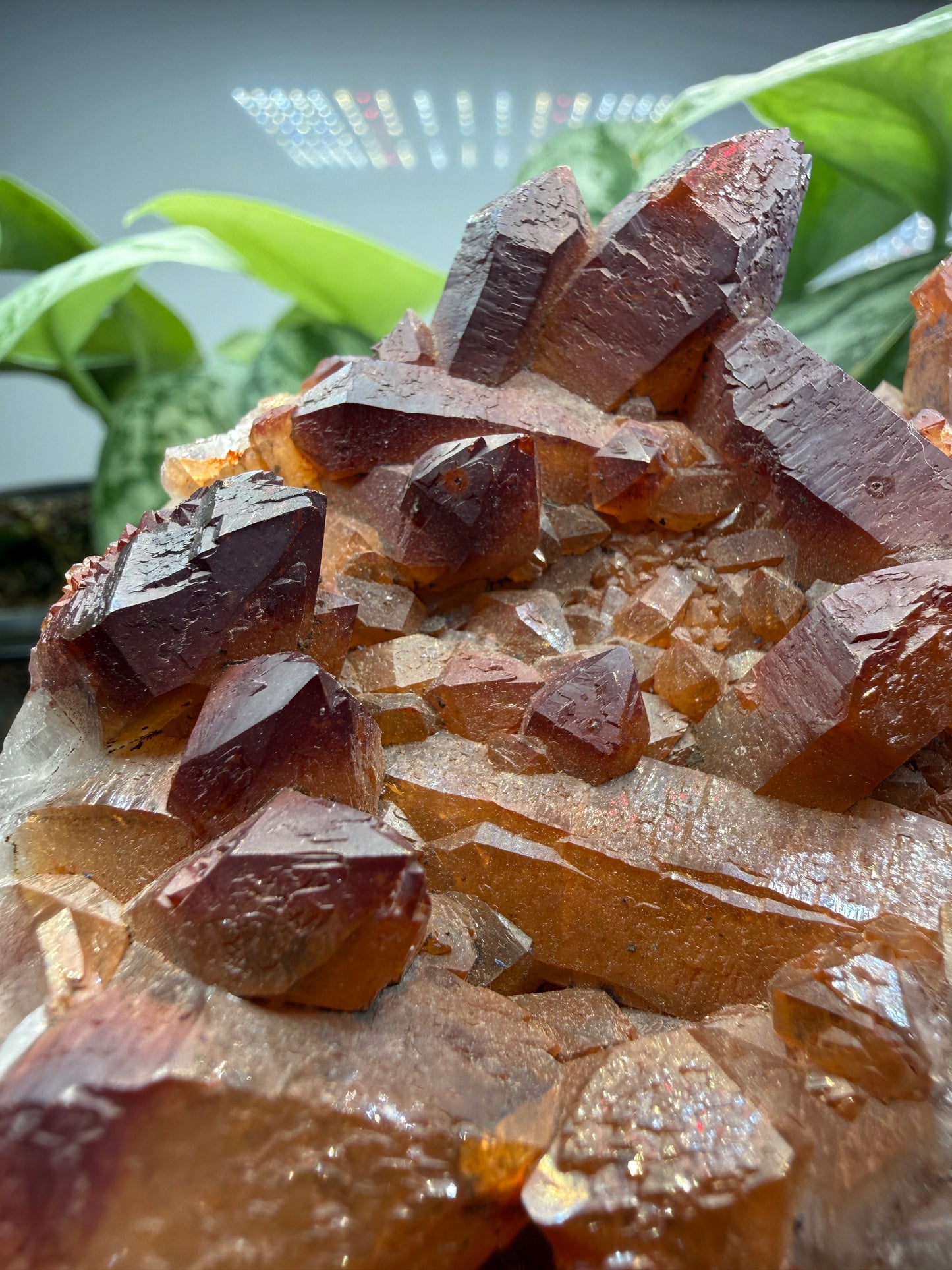Red Quartz- Tinejdad, Er Rachidia Province, Meknes-Tafilalet Region, Morocco