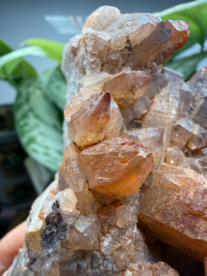 Red Quartz- Tinejdad, Er Rachidia Province, Meknes-Tafilalet Region, Morocco