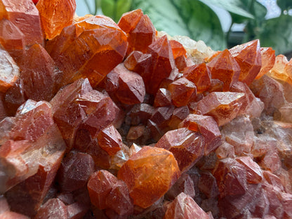 Red Quartz- Tinejdad, Er Rachidia Province, Meknes-Tafilalet Region, Morocco