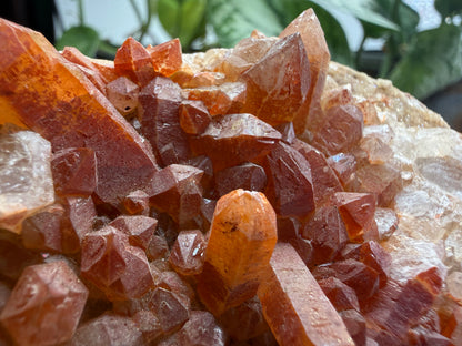 Red Quartz- Tinejdad, Er Rachidia Province, Meknes-Tafilalet Region, Morocco