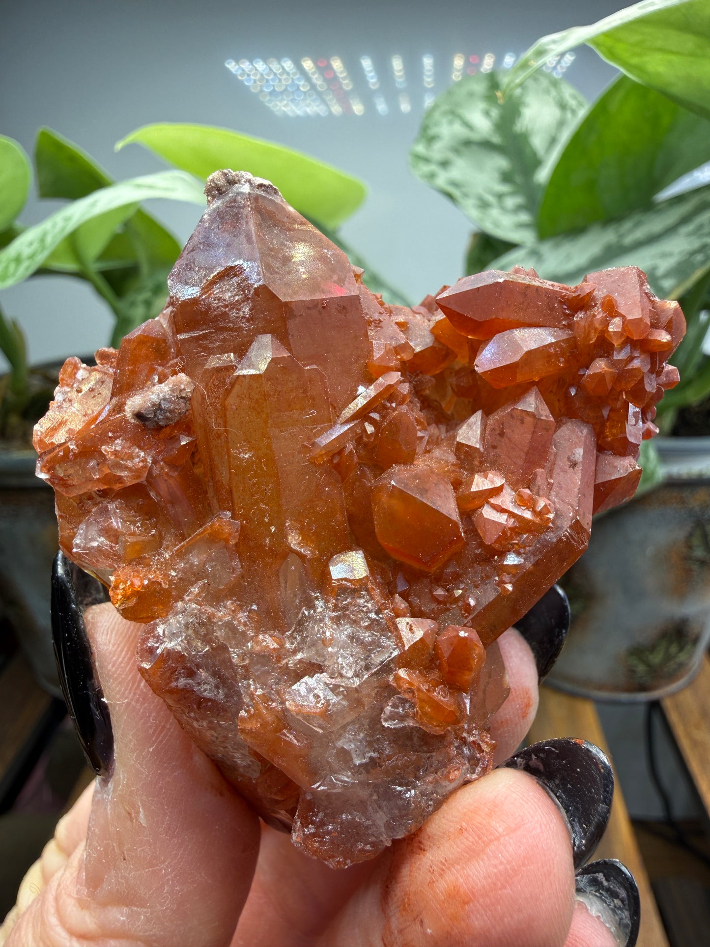 Red Quartz- Tinejdad, Er Rachidia Province, Meknes-Tafilalet Region, Morocco