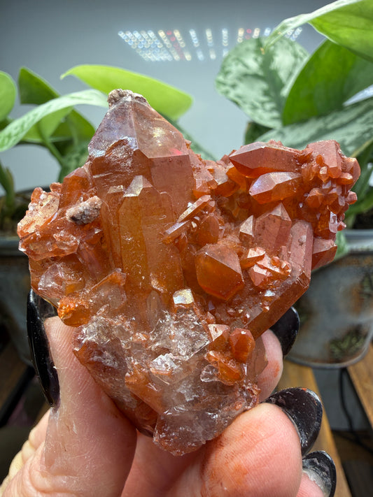 Red Quartz- Tinejdad, Er Rachidia Province, Meknes-Tafilalet Region, Morocco