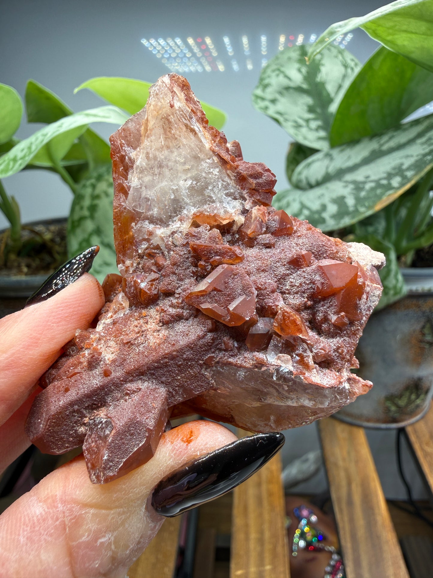 Red Quartz- Tinejdad, Er Rachidia Province, Meknes-Tafilalet Region, Morocco