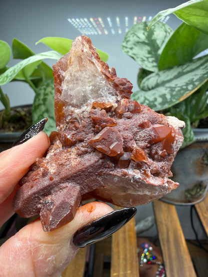Red Quartz- Tinejdad, Er Rachidia Province, Meknes-Tafilalet Region, Morocco