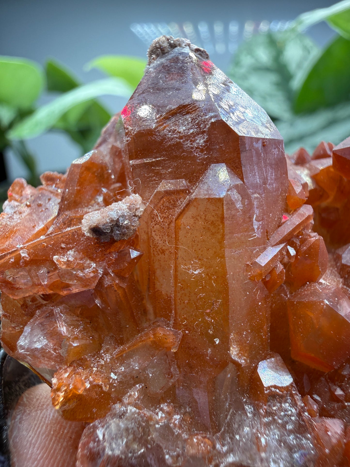 Red Quartz- Tinejdad, Er Rachidia Province, Meknes-Tafilalet Region, Morocco