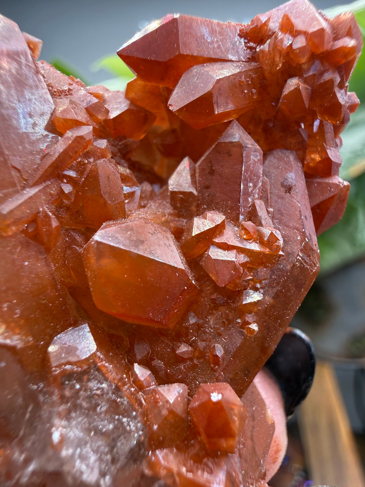 Red Quartz- Tinejdad, Er Rachidia Province, Meknes-Tafilalet Region, Morocco