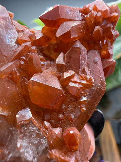 Red Quartz- Tinejdad, Er Rachidia Province, Meknes-Tafilalet Region, Morocco