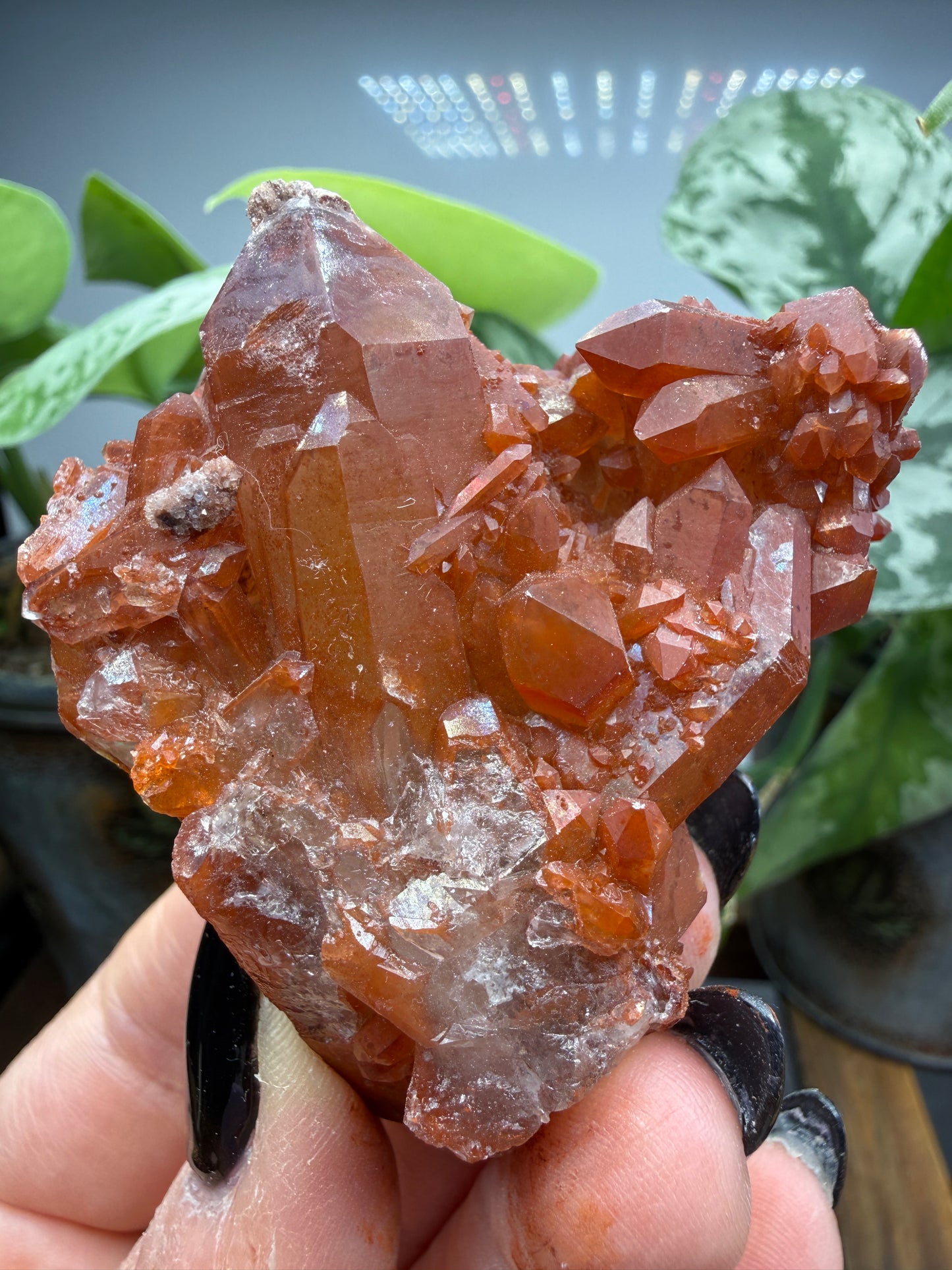 Red Quartz- Tinejdad, Er Rachidia Province, Meknes-Tafilalet Region, Morocco