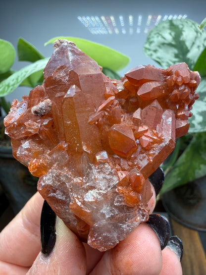 Red Quartz- Tinejdad, Er Rachidia Province, Meknes-Tafilalet Region, Morocco