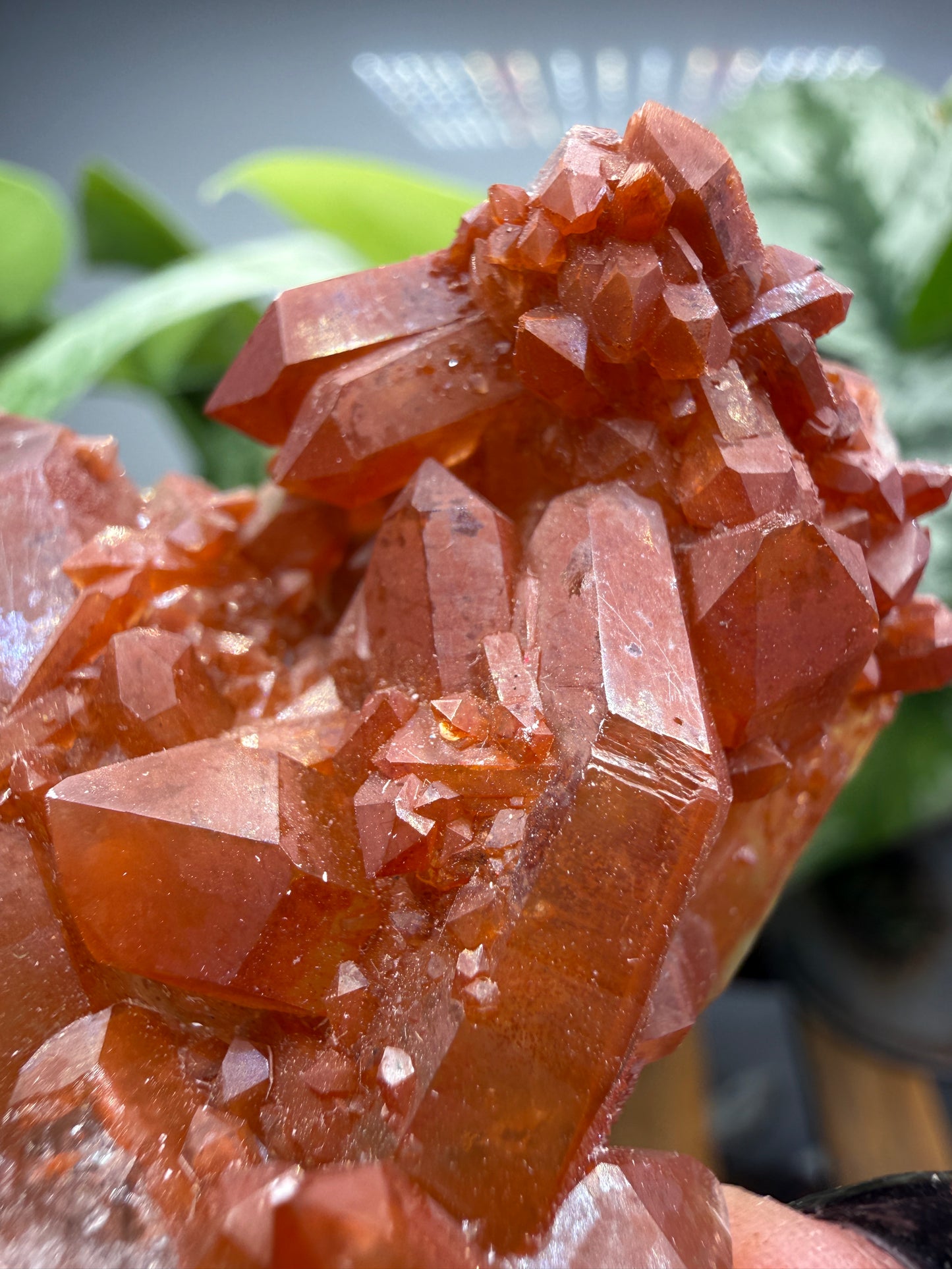 Red Quartz- Tinejdad, Er Rachidia Province, Meknes-Tafilalet Region, Morocco