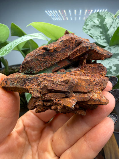 Red Quartz- Tinejdad, Er Rachidia Province, Meknes-Tafilalet Region, Morocco