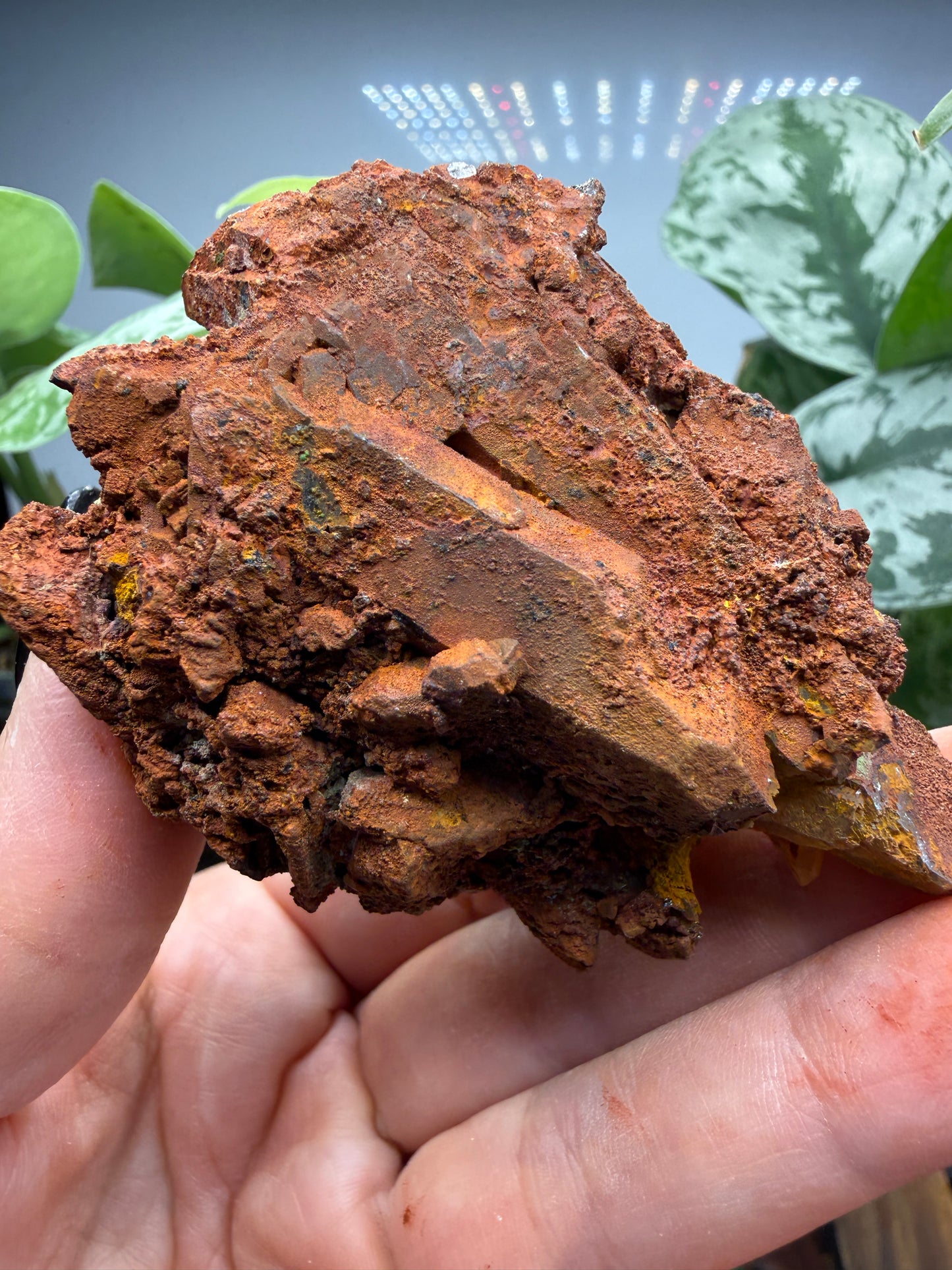 Red Quartz- Tinejdad, Er Rachidia Province, Meknes-Tafilalet Region, Morocco