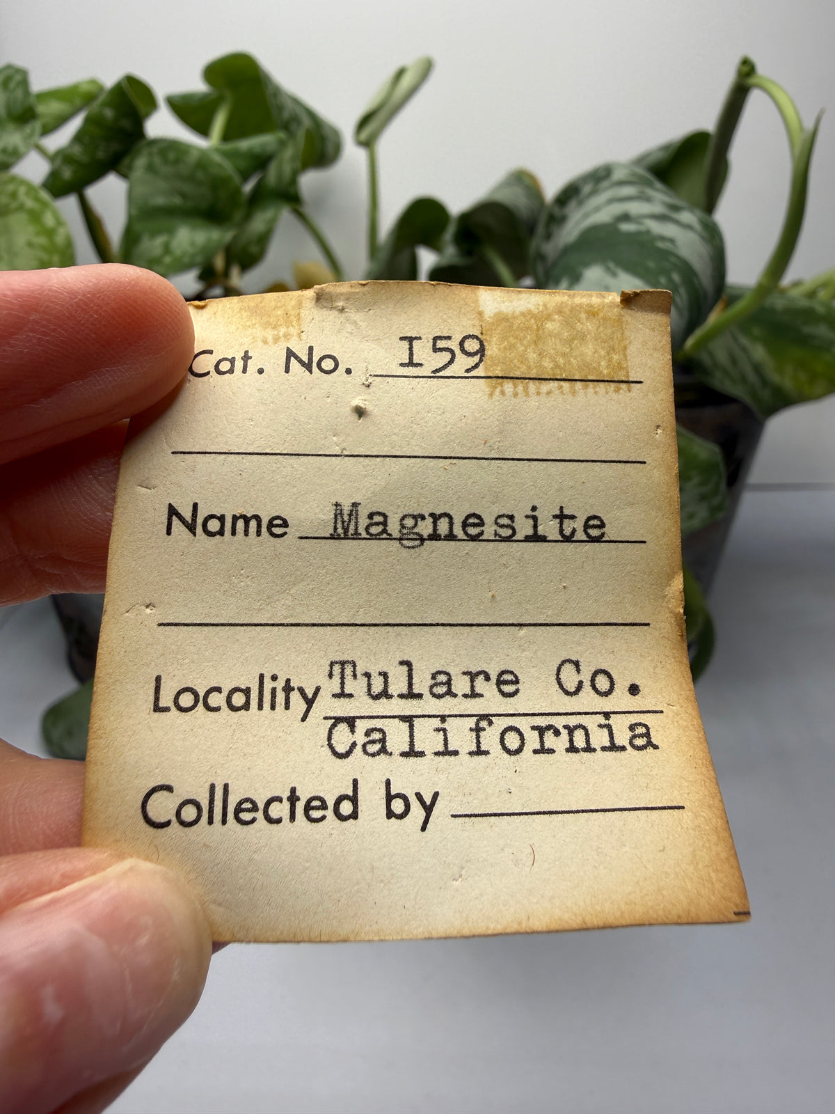 Magnesite- Tulare County, California, USA