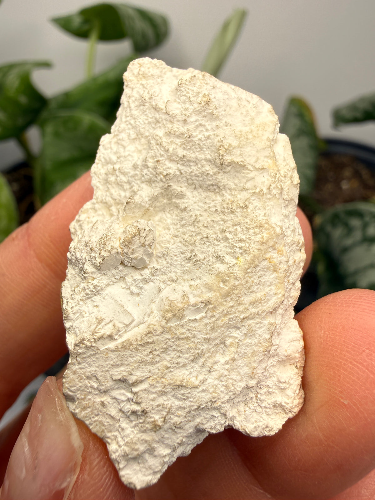 Magnesite- Tulare County, California, USA