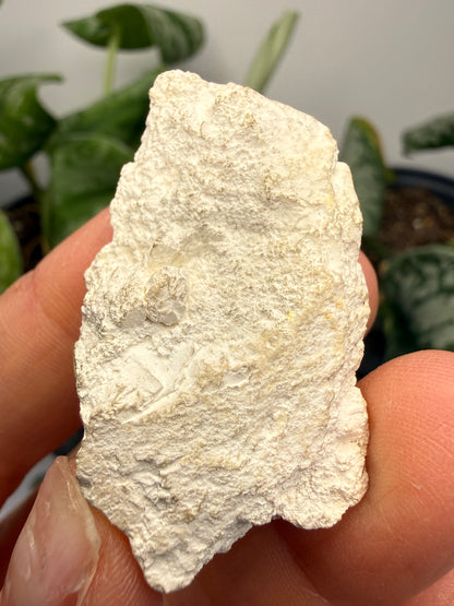 Magnesite- Tulare County, California, USA