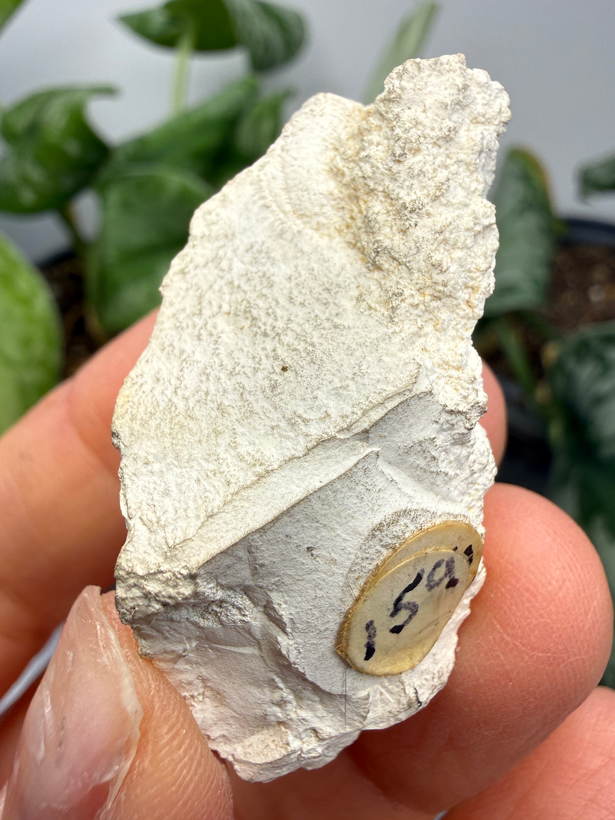 Magnesite- Tulare County, California, USA