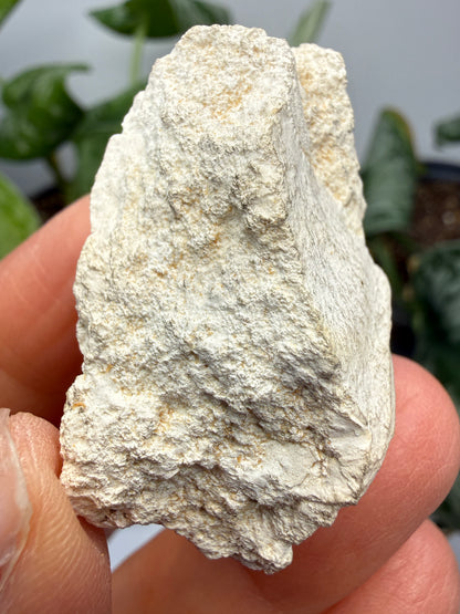 Magnesite- Tulare County, California, USA
