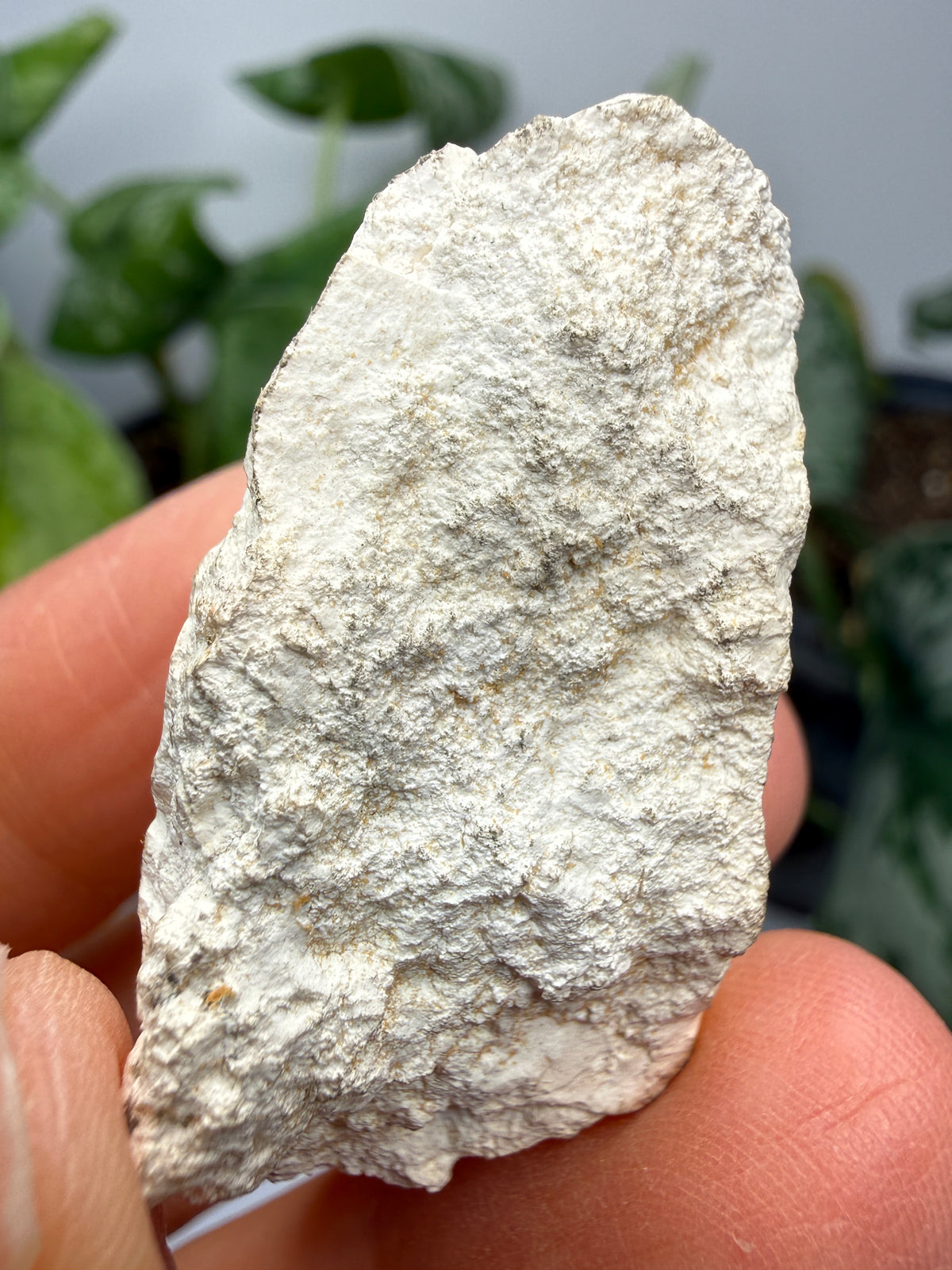 Magnesite- Tulare County, California, USA