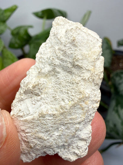 Magnesite- Tulare County, California, USA