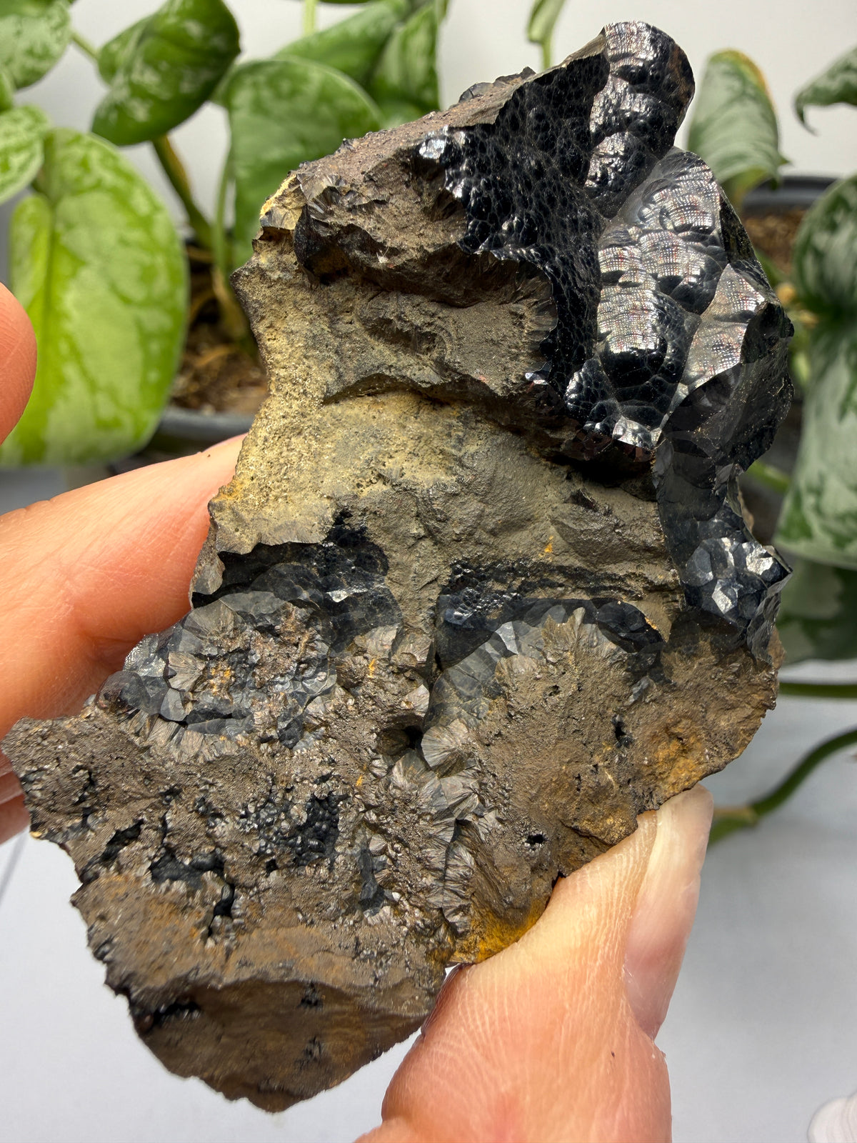 Goethite- Bilbao, Biscay, Basque Country, Spain