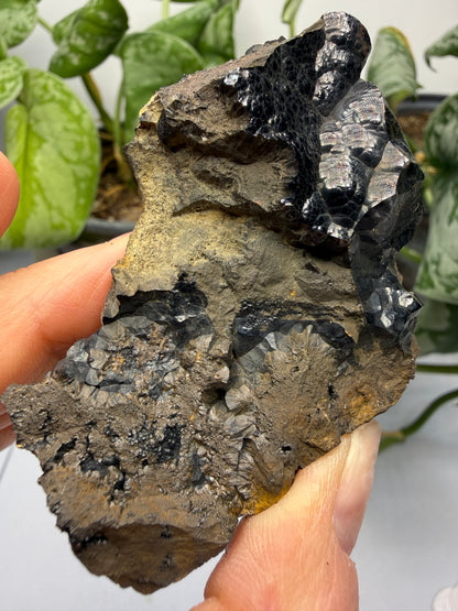 Goethite- Bilbao, Biscay, Basque Country, Spain