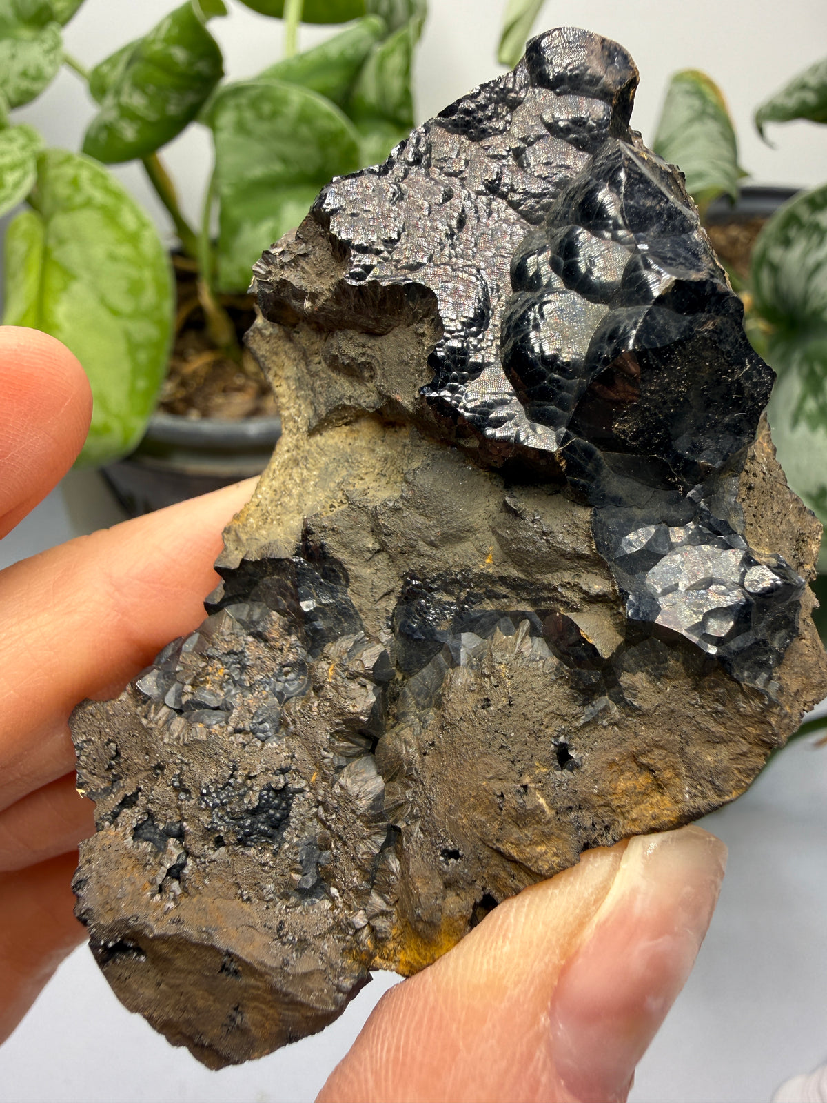 Goethite- Bilbao, Biscay, Basque Country, Spain
